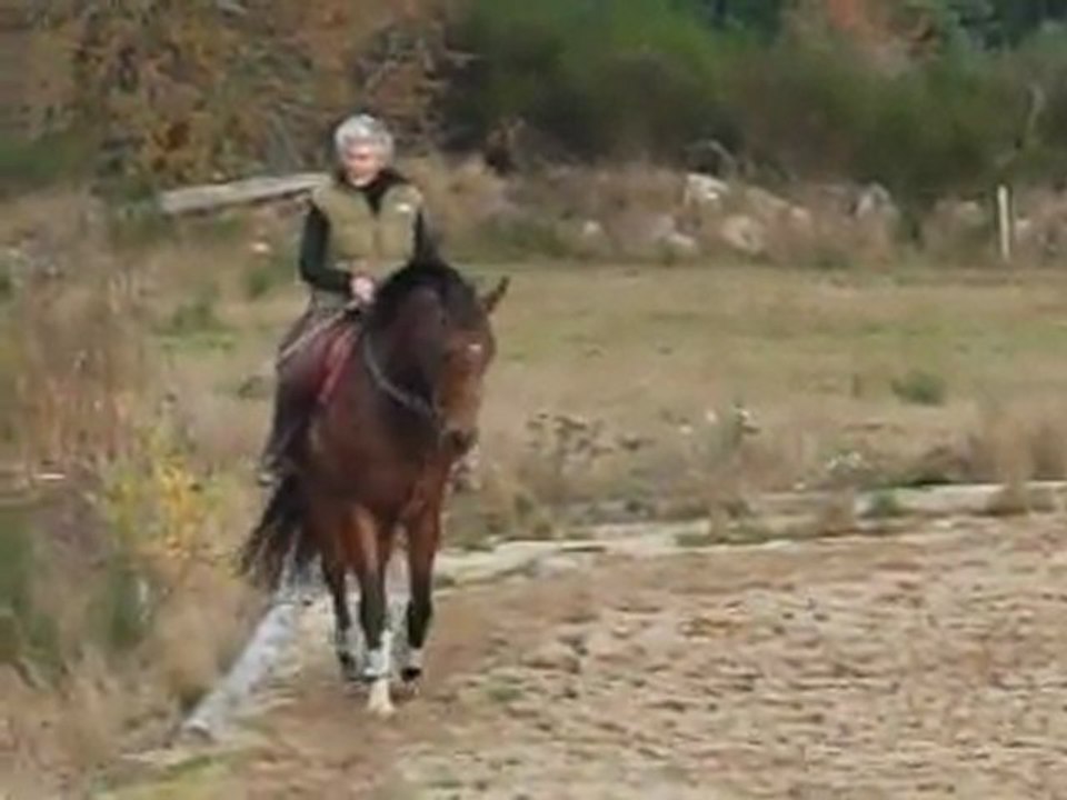 01 11 2011 Top Model pas