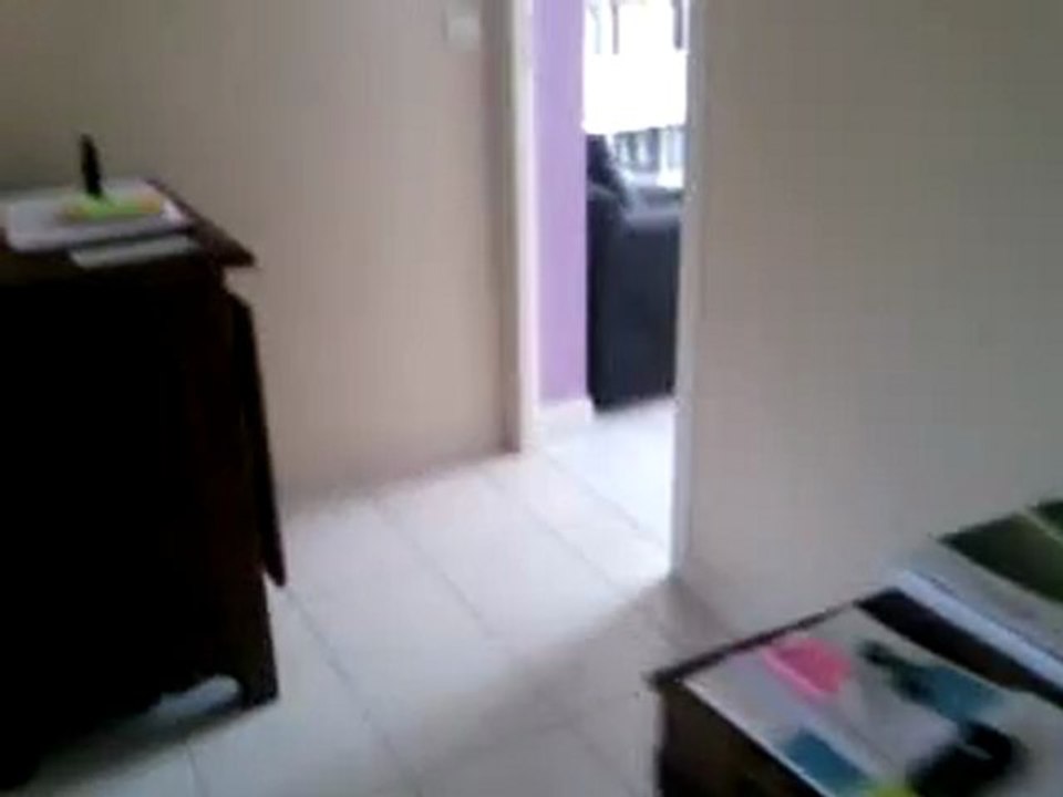 joue au foot avec mon chat