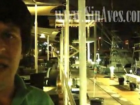 Tanza anti aves Bayside 2