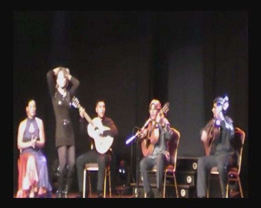 Extrait, Ricao en concert au César Pallas de Vedène (84) le 04 Novembre 2011