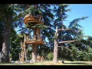 Construction d'une cabane dans les arbres en Charente-Maritime