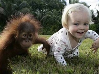 Hariçten Gazelciler - Domuzun Kızı