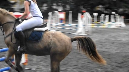 CSO Haras - Le 1er novembre 11