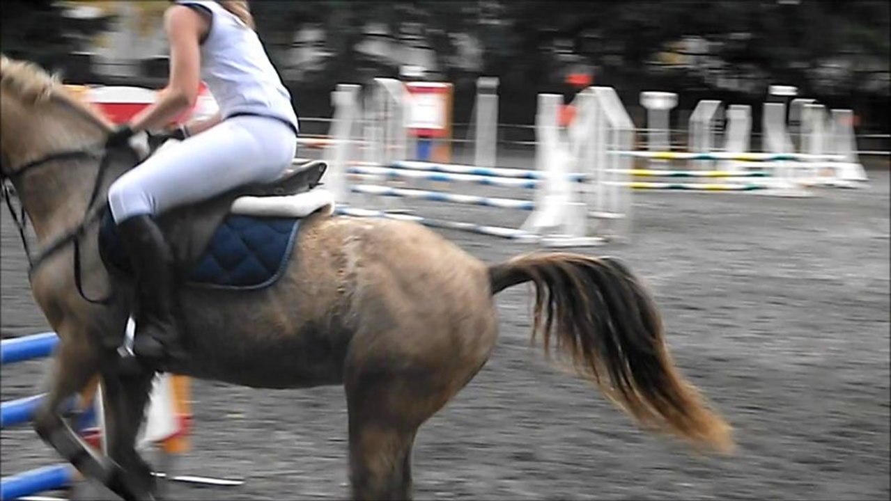 CSO Haras - Le 1er novembre 11
