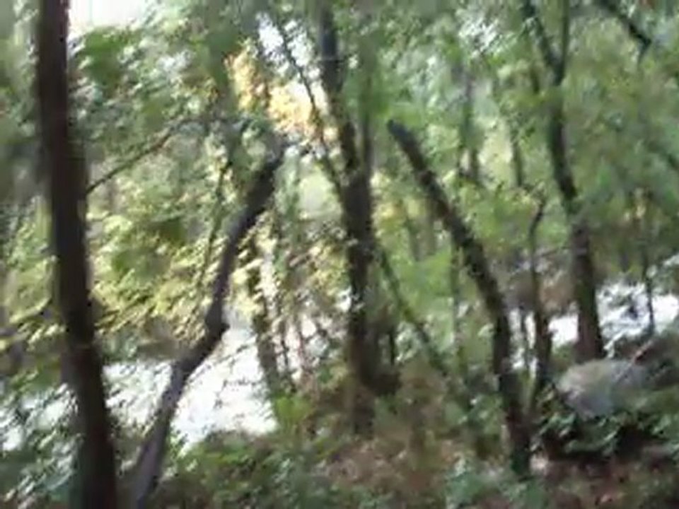 Deluge Video 05-11-2011 04 (resurgence)