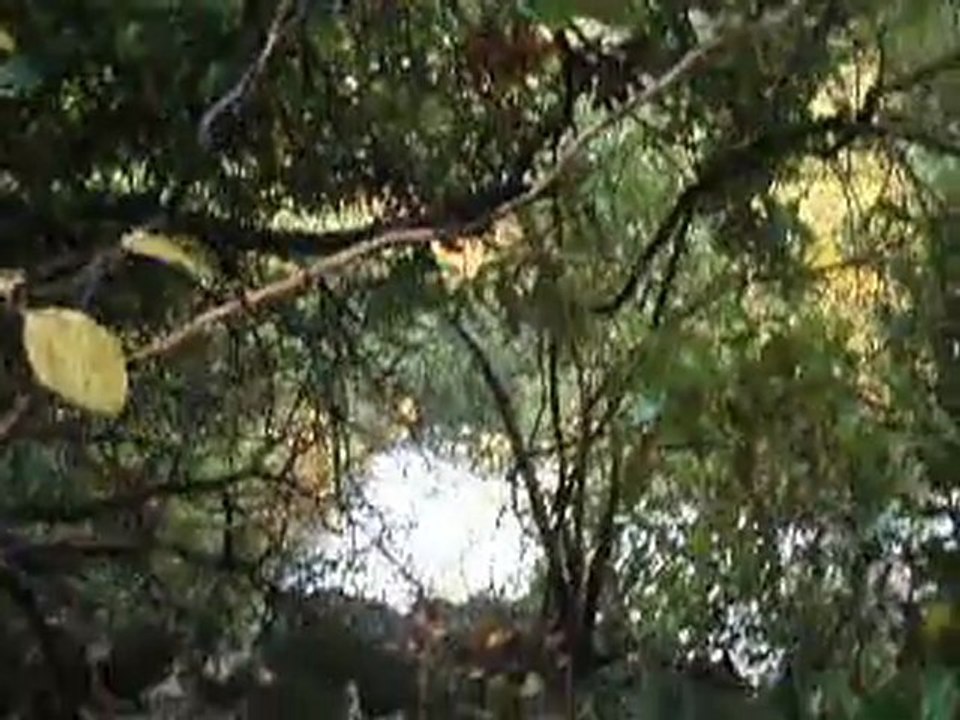 Deluge Video 05-11-2011 06 (planesselve chutes d'eau)