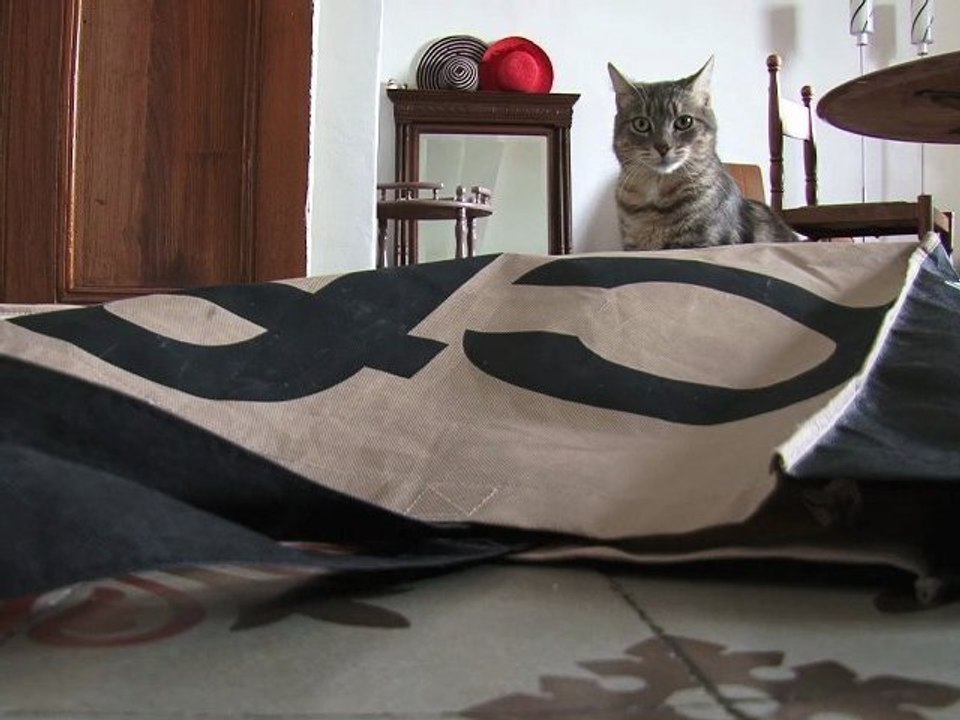 Bebop & Lula 06112011