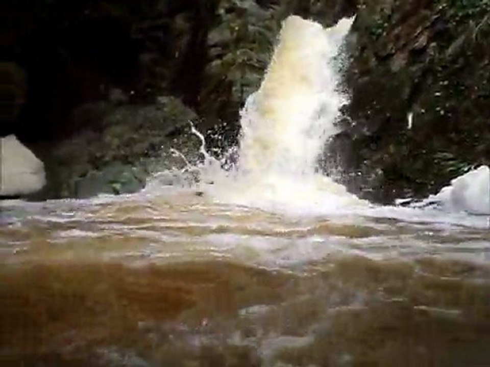 cippet'eau