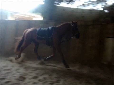 Tsar - travail longe - 2.9.2011