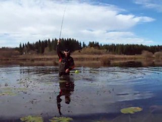 Brochet des tourbières