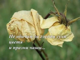 Хубаво е всичко да свършва навреме