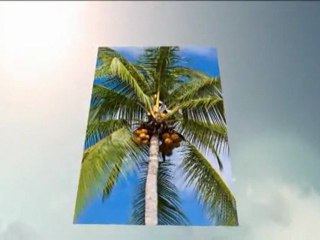 HOMES FOR SALE IN COSTA RICA ON THE BEACH