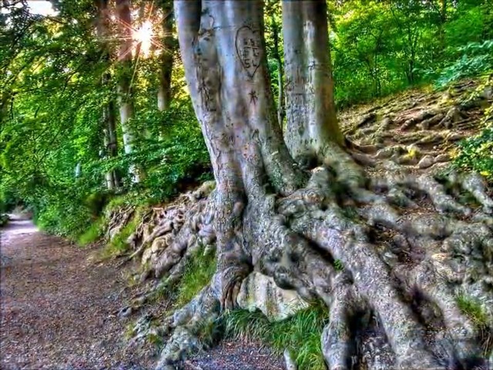 Composition Dans tes rêves  !!