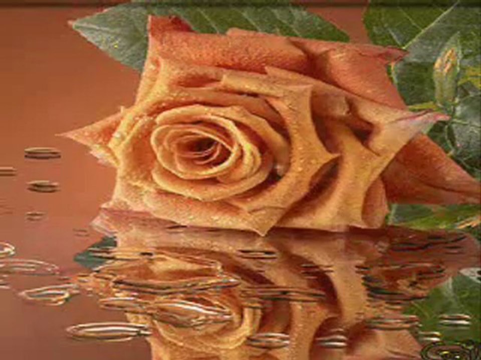 Yaka gelir yaka gider Çinuçen Tanrıkorur