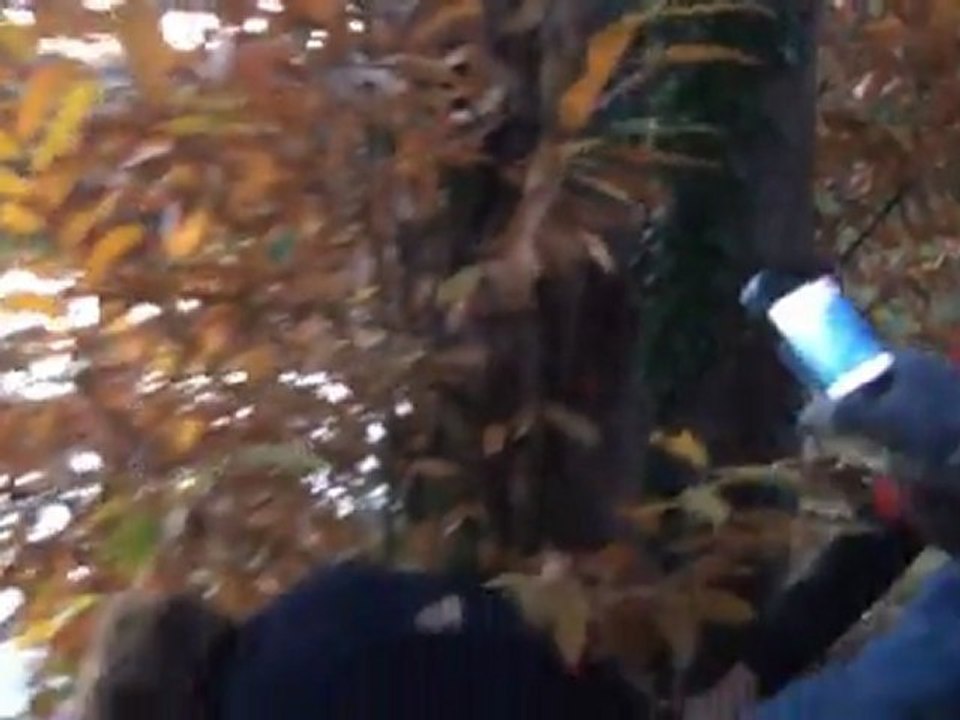 WE 1er novembre