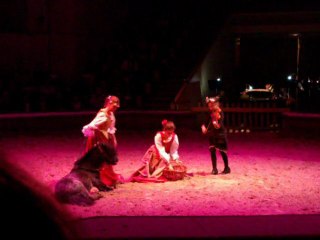 CONCERT EQUESTRE AU DOMAINE DE CHANTILLY