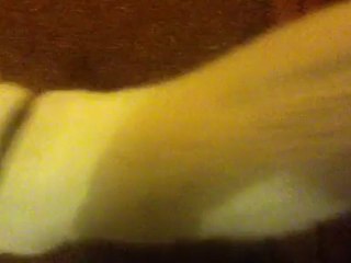 коты и расческа