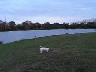 BALADE AVEC LES COPAINS