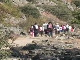 El pasado marino del Parque Nacional de Cabañeros, al alcance de nuestras botas