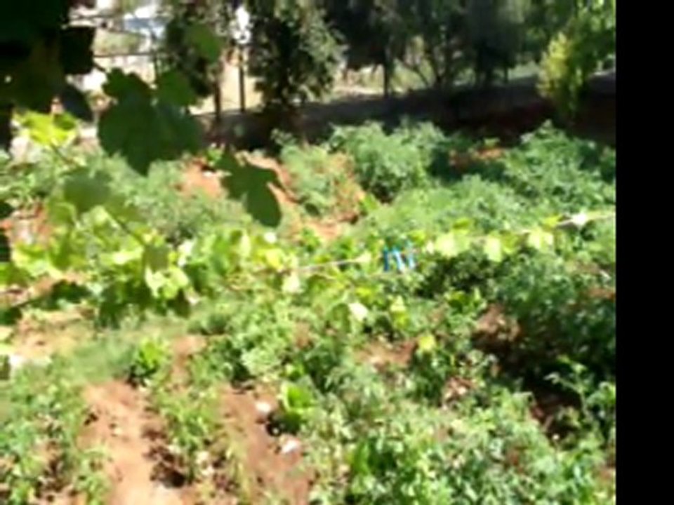 Nedim varol, Tufanbeyli, ADANA, ( serdal. 2011)