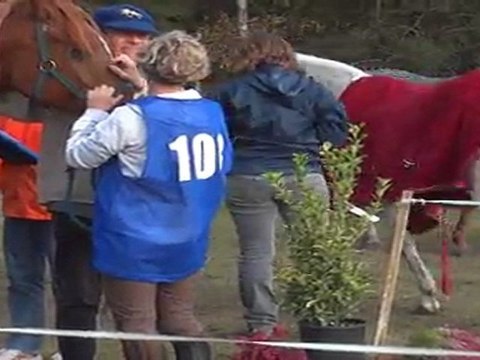 Isie des Balmes - Trotting endurance Villiers sous Grez