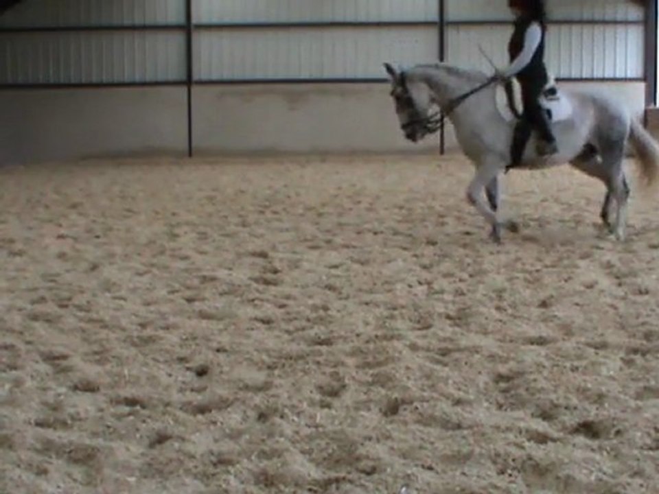 trot sur le cercle  M2U00831
