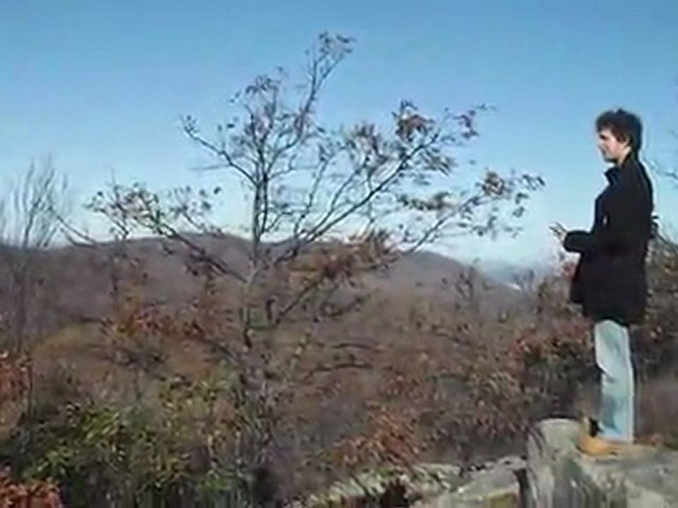 Cold Spring 2