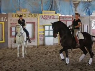 Dressage & Charro Pro's Share Tips With Equine VIP