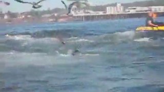 Surfer almost becomes whale food