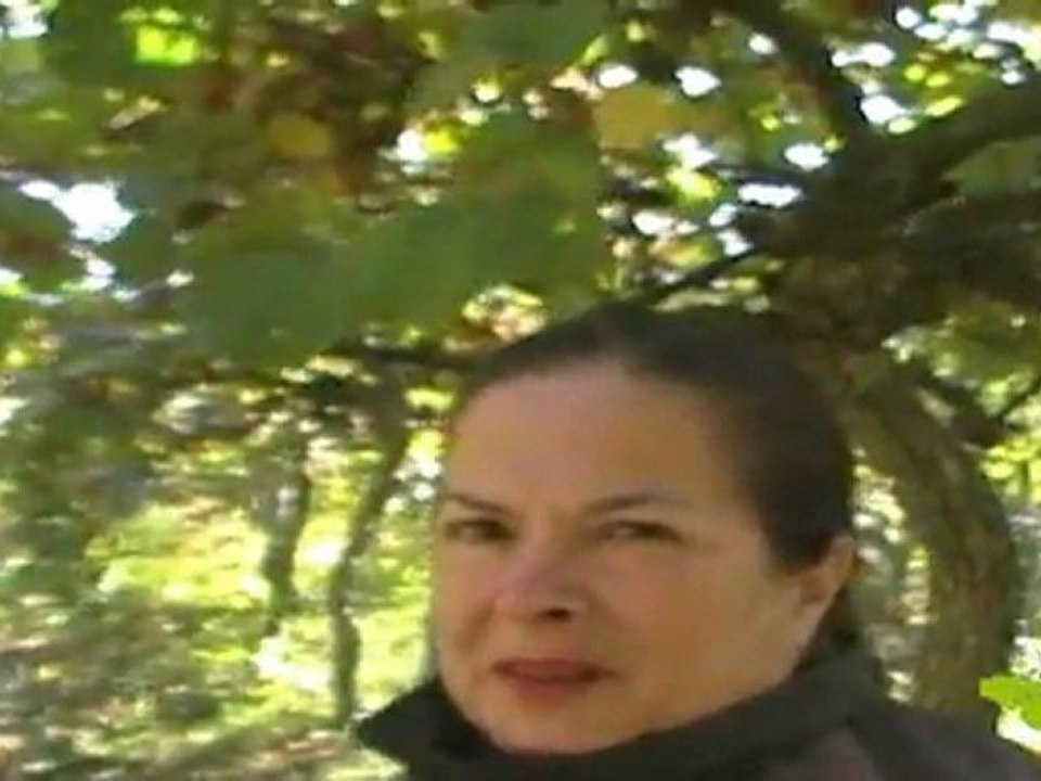 Tout sur les Kiwis Bio de marie-odile Reynaud