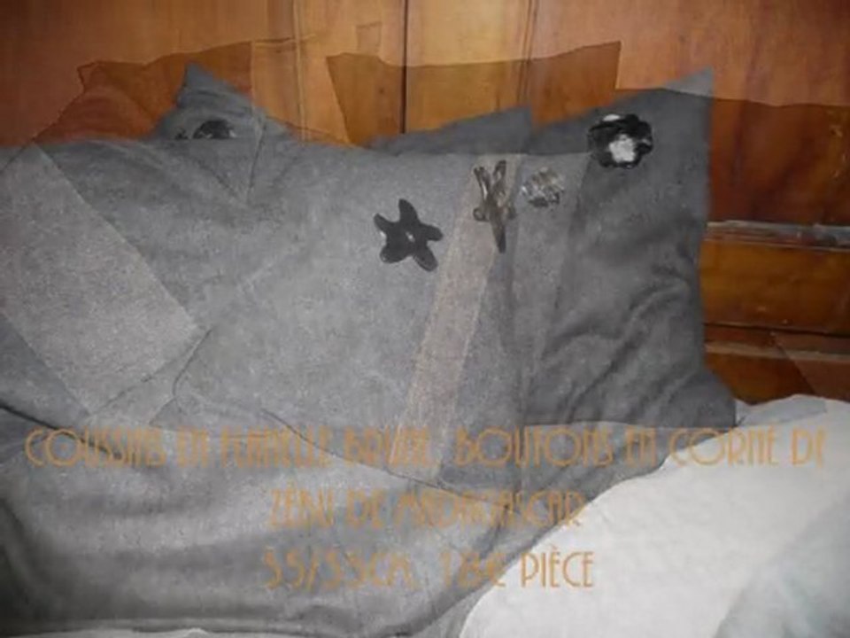 Coussins d'hiver