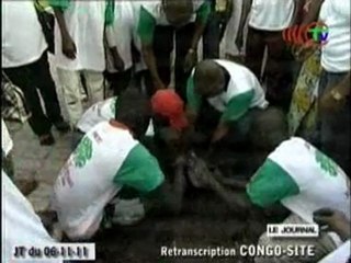Planting d'arbres sur l'avenue de l'intendance