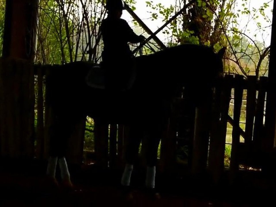 xs pas d'école monté, haut