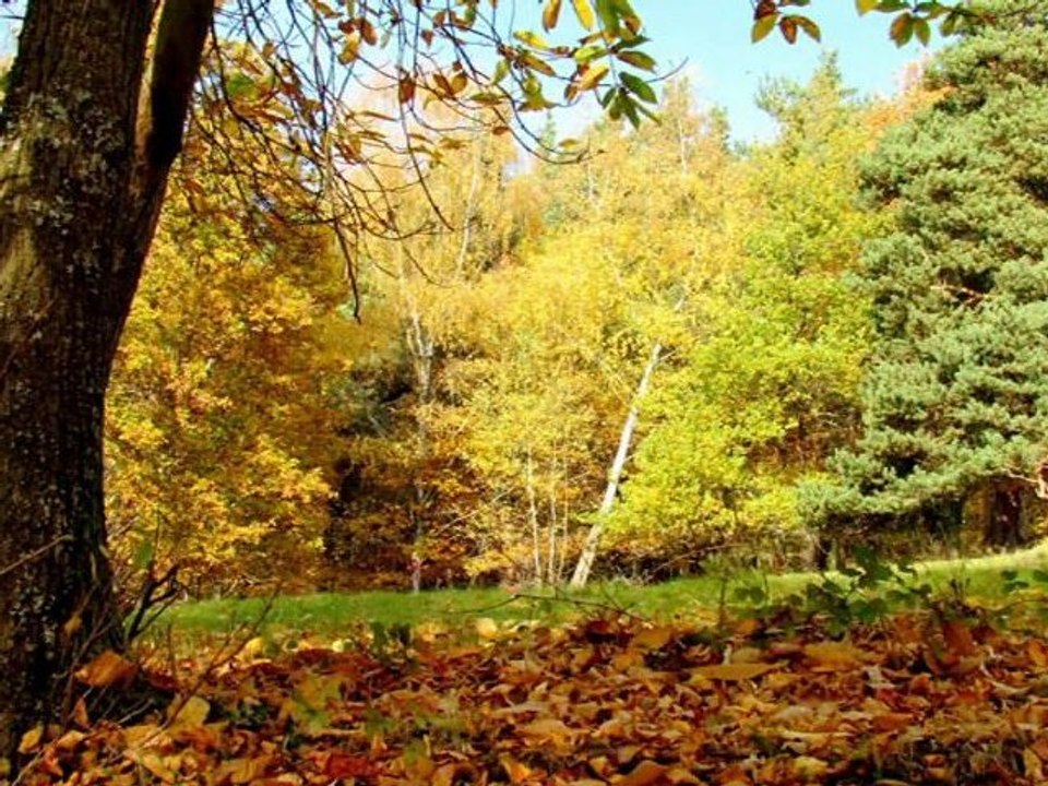 Automne