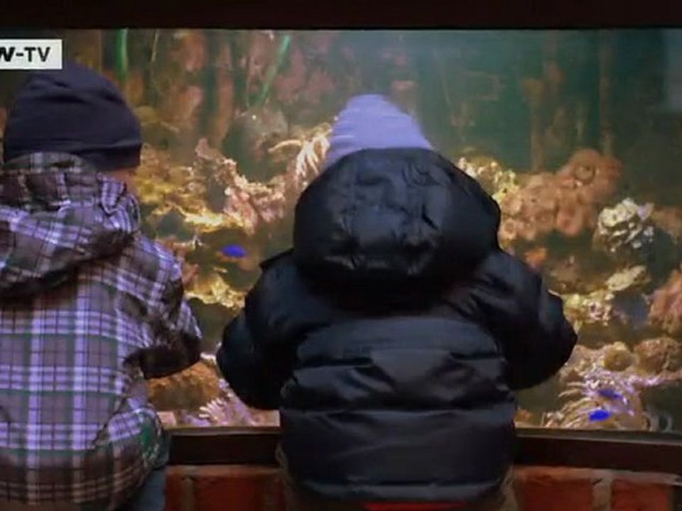 Brilliant Minds - Computer Scientist Mehul Bhatt | Tomorrow Today