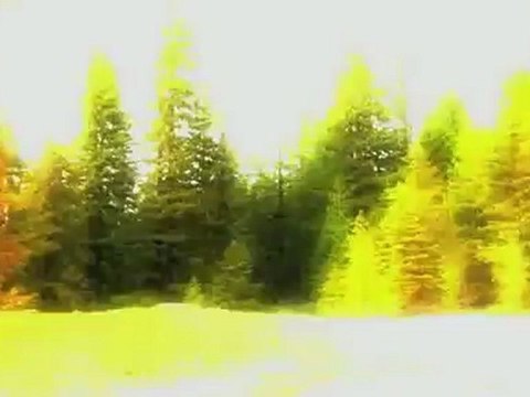 John Deere Gator Utility Vehicles