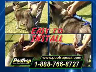 PooTrap - Collecteur de crotte de chien