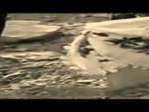 27 NeFeS ft. Serzenish - Oyuncak Aşk 2011 /WwW.SeSLiKaDRo.CoM