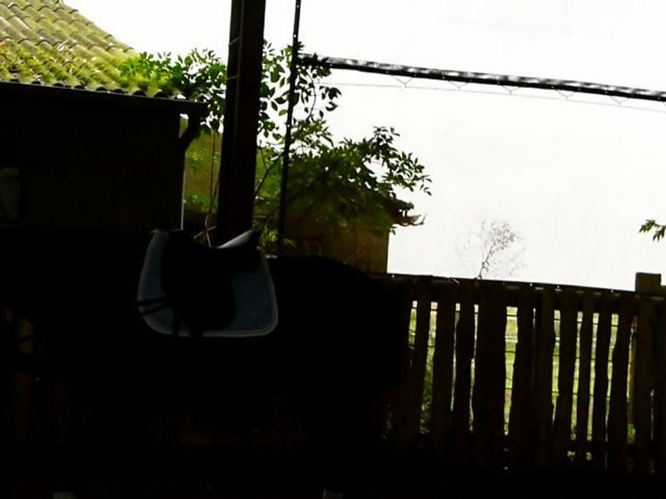 bouger hanches en longe