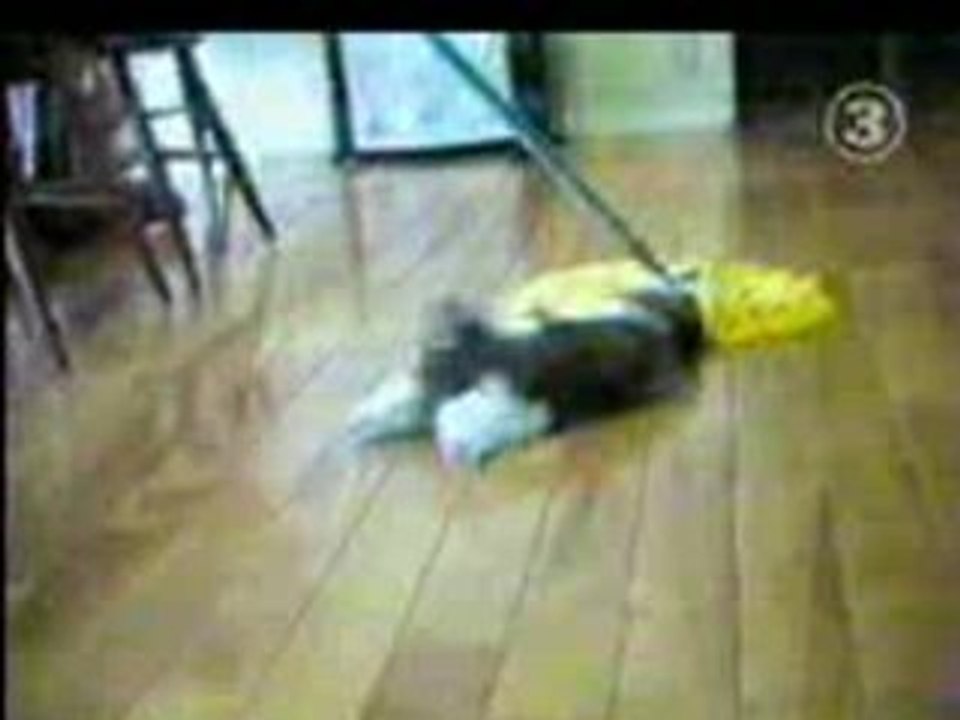 chien serpiere