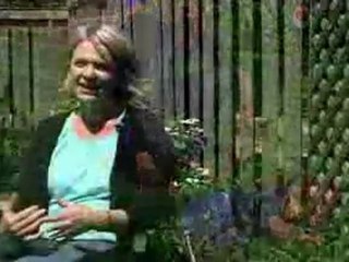 environmentally friendly lawn care