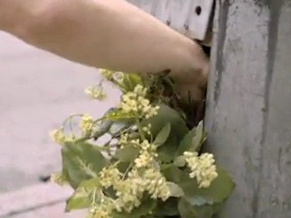 Express Yourself Every Day