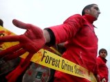 Greenpeace exposes logging company Danzer involvement in human rights abuse