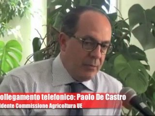 Leccenews24 politica, cronaca, sport, l'informazione 24 ore: Tg 5 Novembre