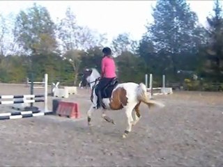 lucky entrainement obstacle