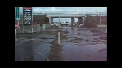 Giappone - Lo Tsunami 41