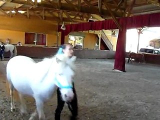 Stage en zic à Terre d'illich, août 2011