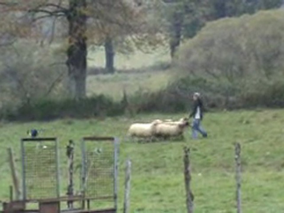 Flou (2) 06 11 2011