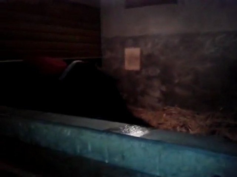 Visite Nocturne