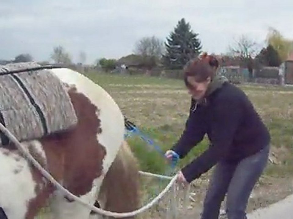 Une idée folle ^^